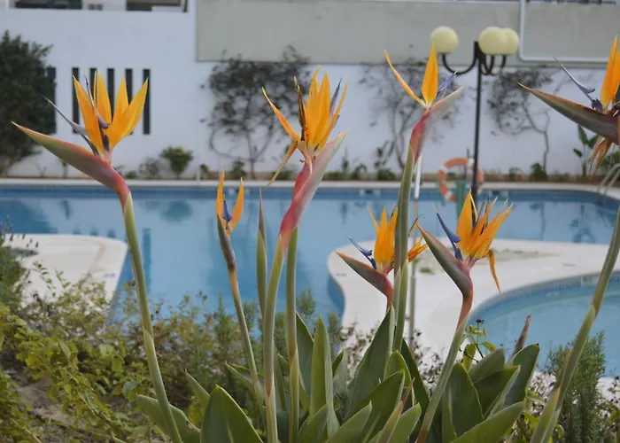 Apartamento Proximo Da Marina Vilamoura C/Piscina E Estacionamento